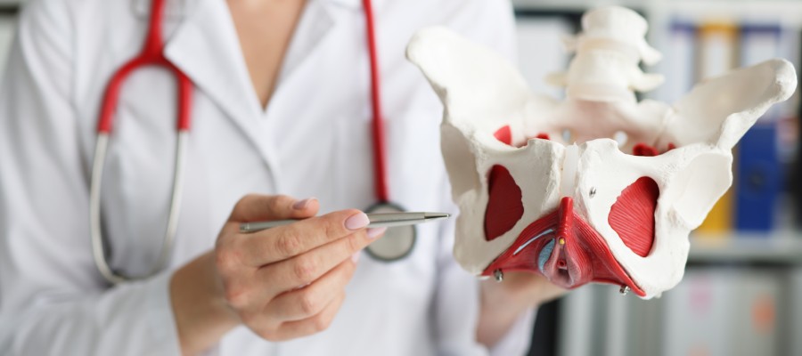 Pelvic Reconstruction Surgery Specialist in Houston, TX